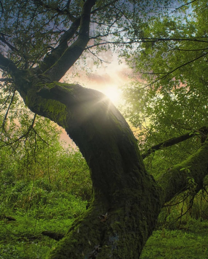 La imagen tiene un atributo ALT vacío; su nombre de archivo es 1606247185420.jpg